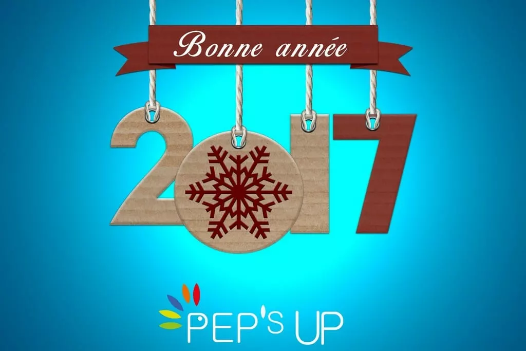 bonne-annee-2017-blog